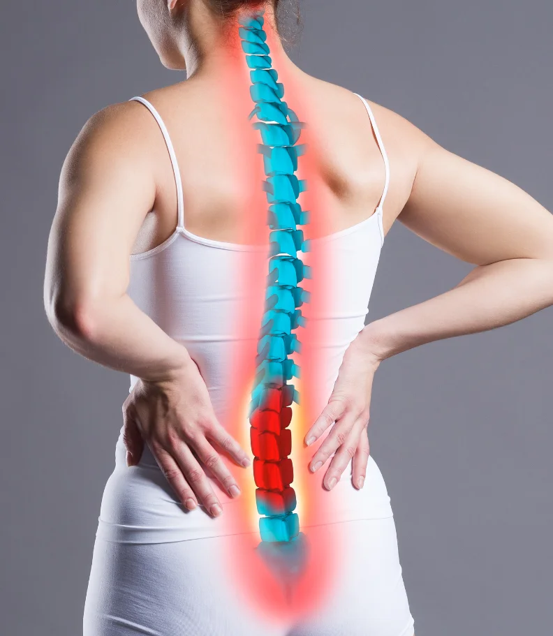disc injury Wesley Chapel FL